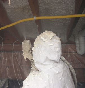 Richmond VA crawl space insulation